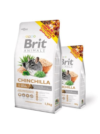 brit-animals-chinchilla