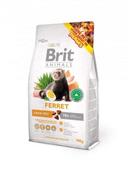 brit-animals-ferret