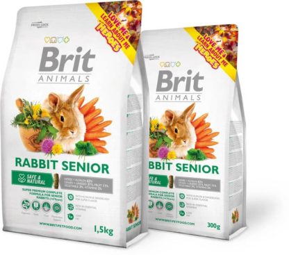 brit-animals-rabbit-senior