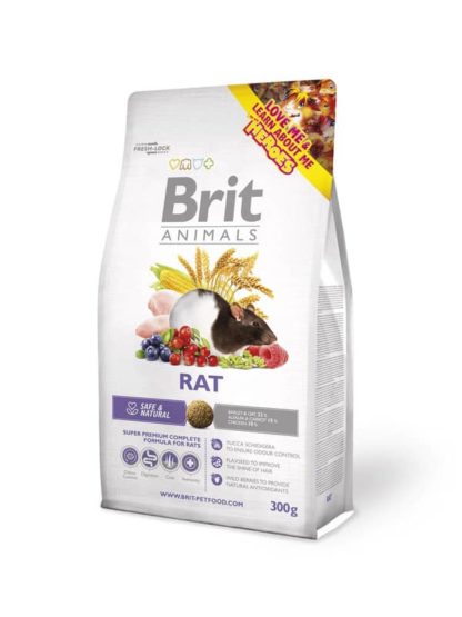 brit-animals-rat