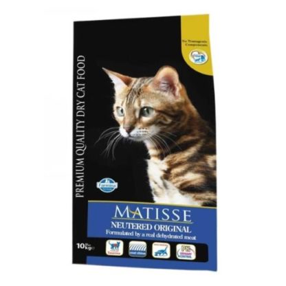 matisse-cat-neutered-original