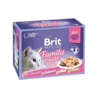 brit-premium-cat-delicate-fillets-in-jelly-dinner-plate