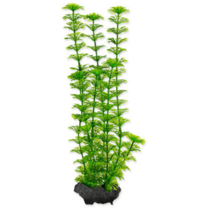 tetra-decorart-plant-ambulia