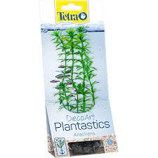 tetra-decorart-plant-anarcharis