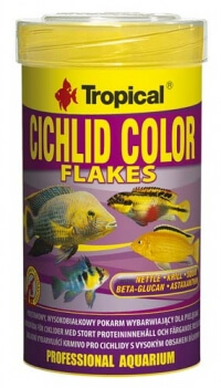 tropical-cichlid-color-lemezes-dobozos