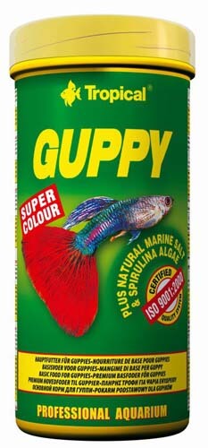 tropical-guppy-lemezes-dobozos