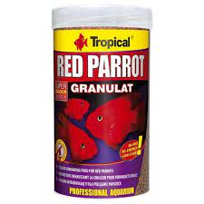 tropical-red-parrot-granulatum