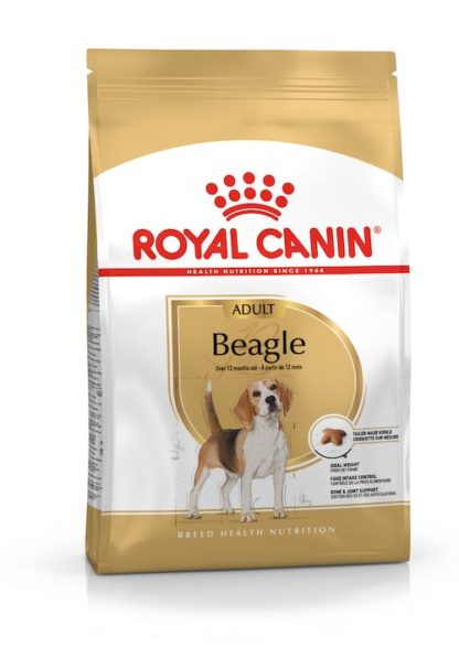 royal-beagle