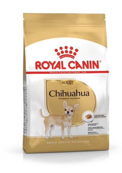 royal-chihuahua-ad