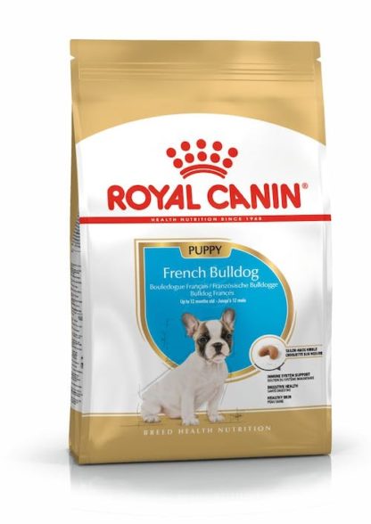 royal-french-pup