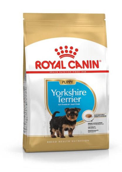 royal-yorkshire-pup