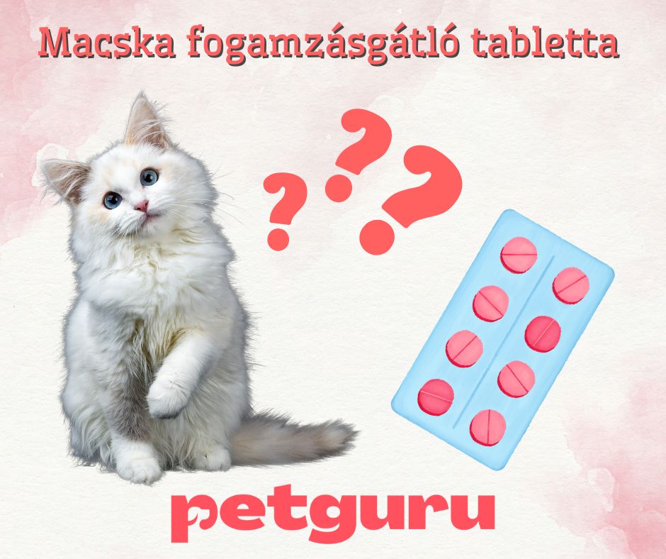 Macska-fogamzasgatlo-tabletta