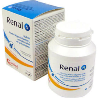 renal-n-por