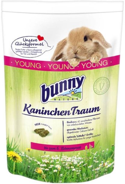 bunnynature-rabbit-dream-young
