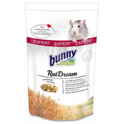 bunnynature-rat-dream-expert