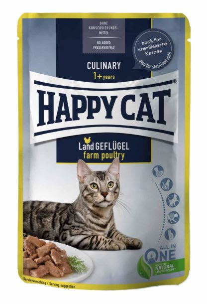 happy cat-culinary-baromfi