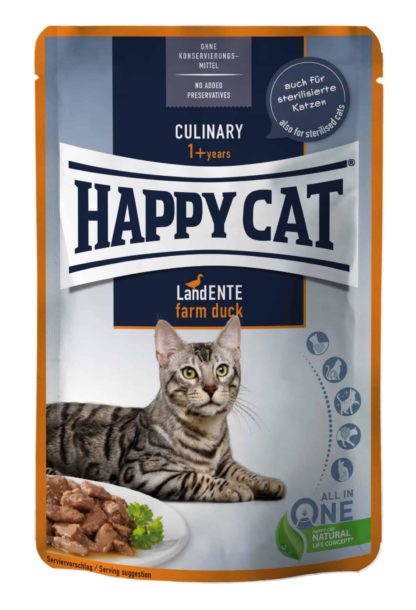 happy cat-culinary-kacsa