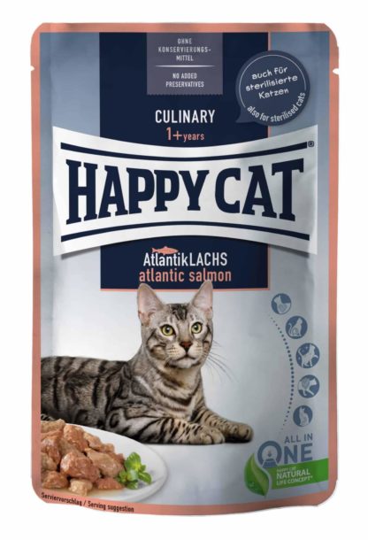 happy cat-culinary-lazac