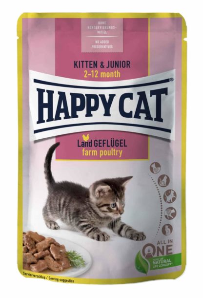 happycat-kitten-baromfi