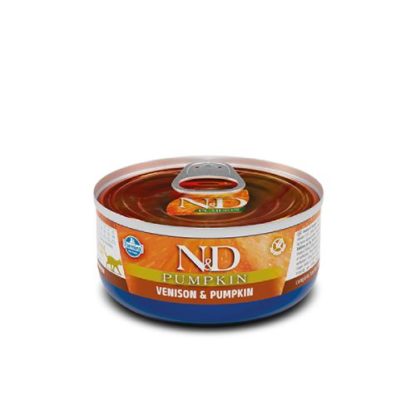 nd-cat-pumpkin-szarvas-sutotok