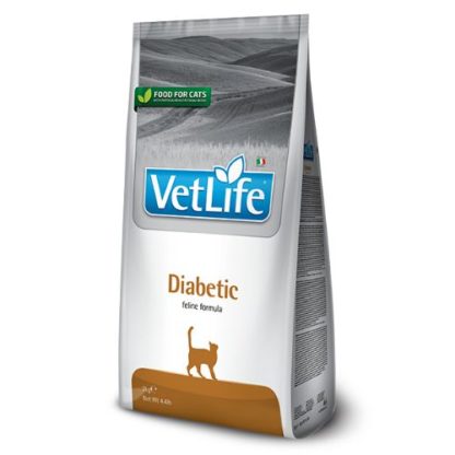 vetlife-cat-diabetic