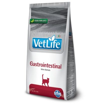 vetlife-cat-gastrointestinal