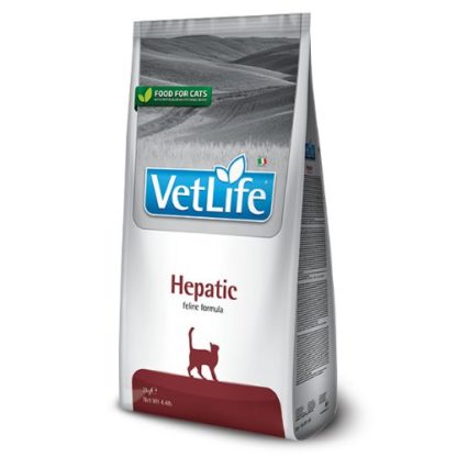 vetlife-cat-hepatic