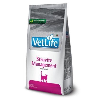 vetlife-cat-management-struvite