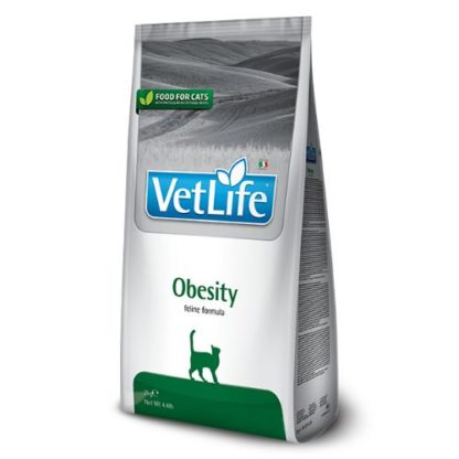 vetlife-cat-obesity