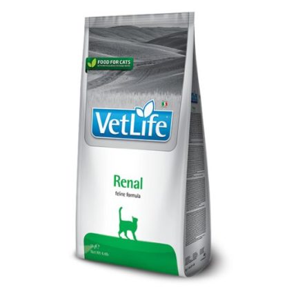 vetlife-cat-renal