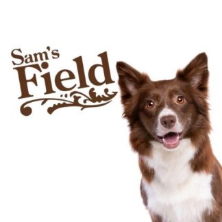 Sams Field kutyatáp