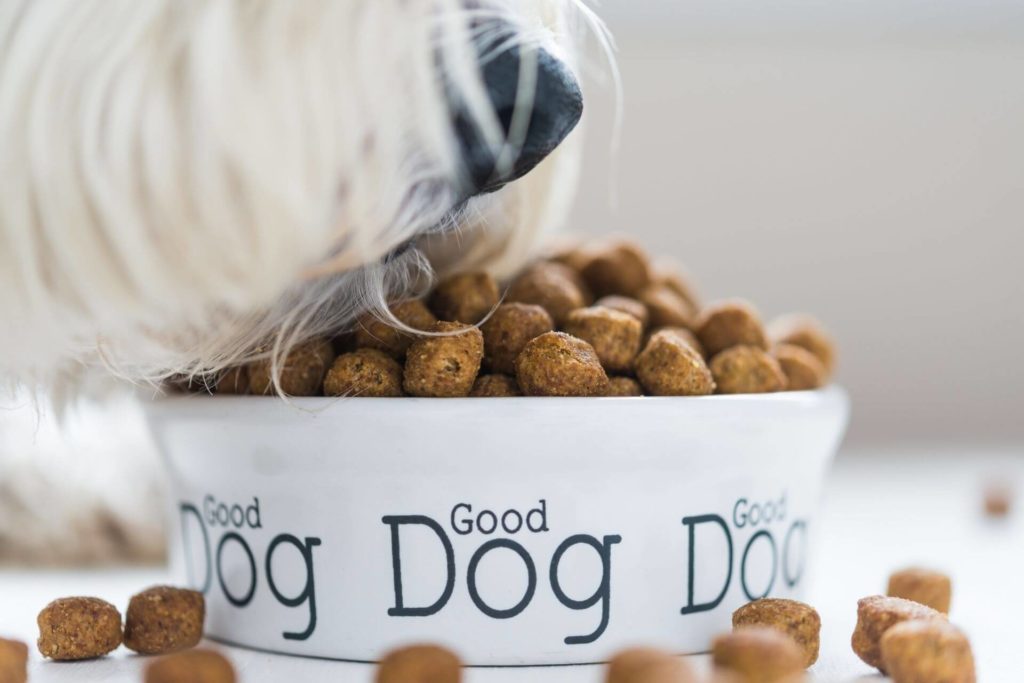 dog-food-kutyatap