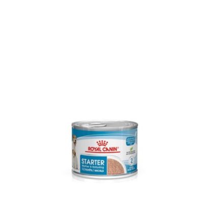 royal-canin-start-of-life-starter-mousse