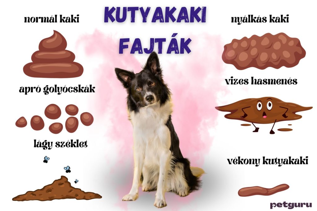 kutya-szeklet-fajtak