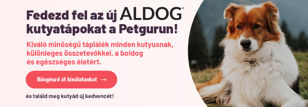 Petguru Hero Kép