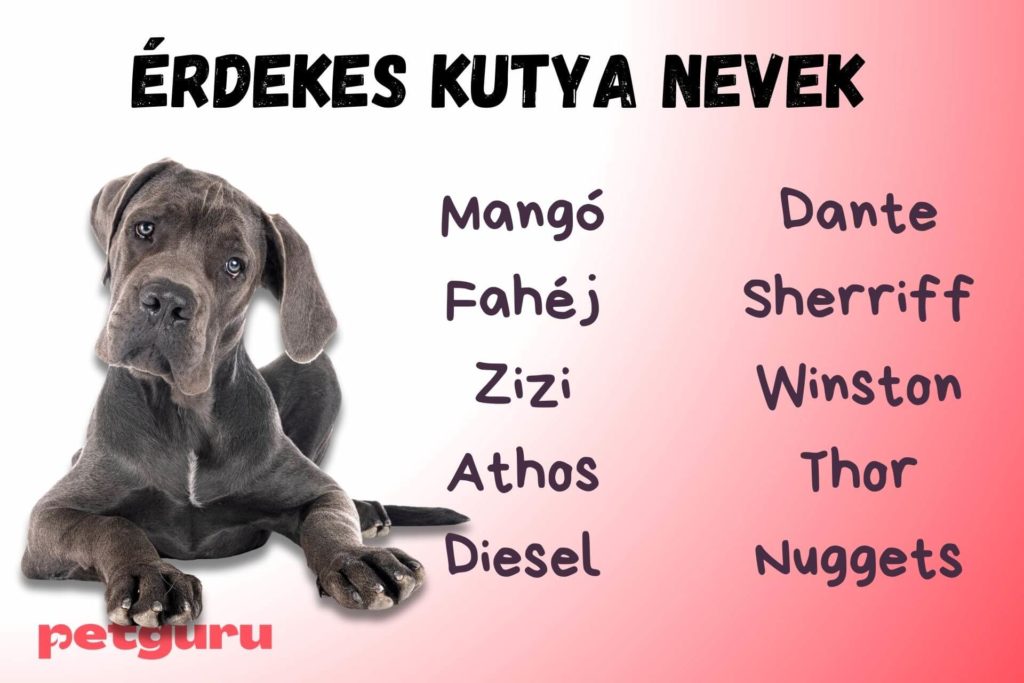 erdekes-kutya-nevek