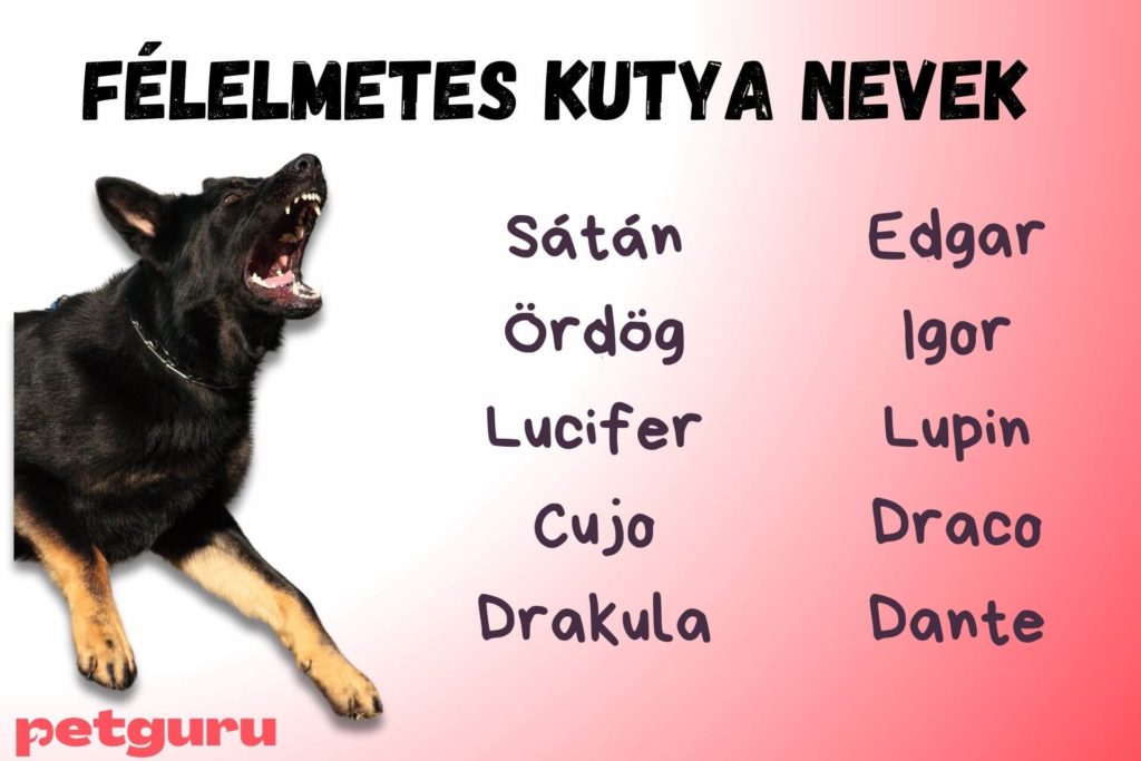 felelmetes-kutya-nevek