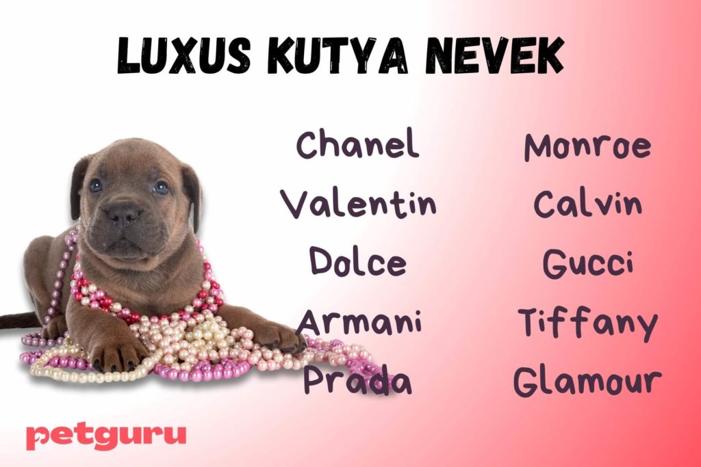 luxus-nevek