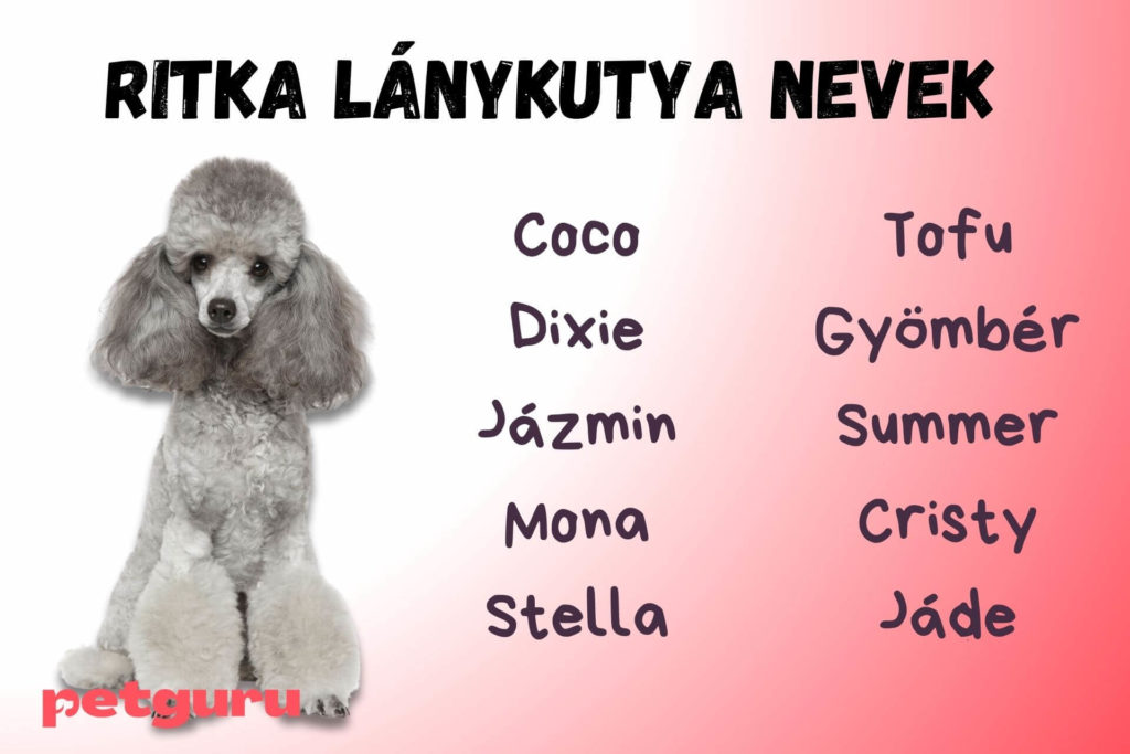 ritka-lany-kutya-nevek