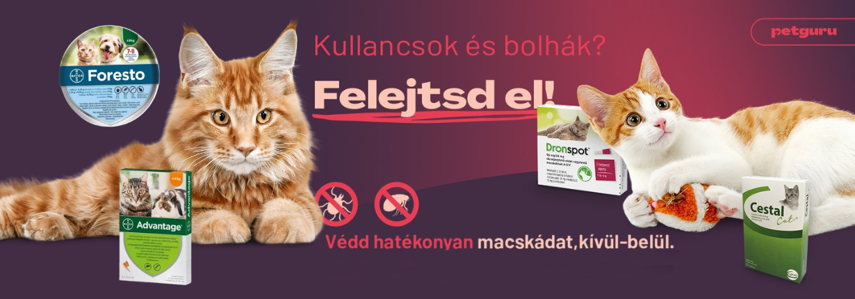 Petguru Hero Kép