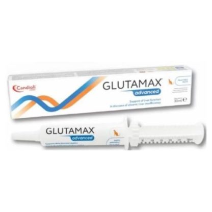 glutamax-paszta-30ml
