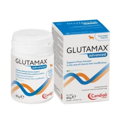 glutamax-tabletta-30db