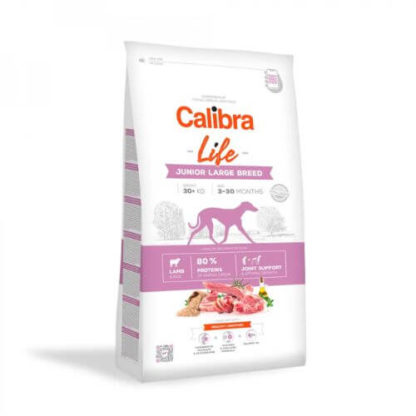 calibra-dog-life-junior-large-lamb-12kg