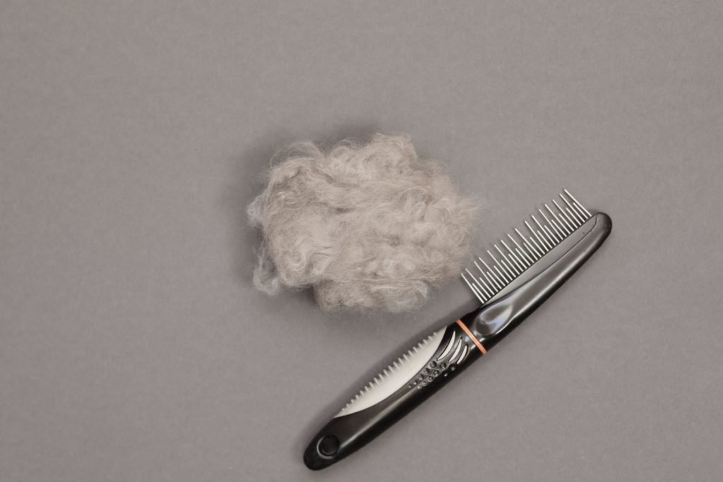 macska-hanyas-emesztetlen