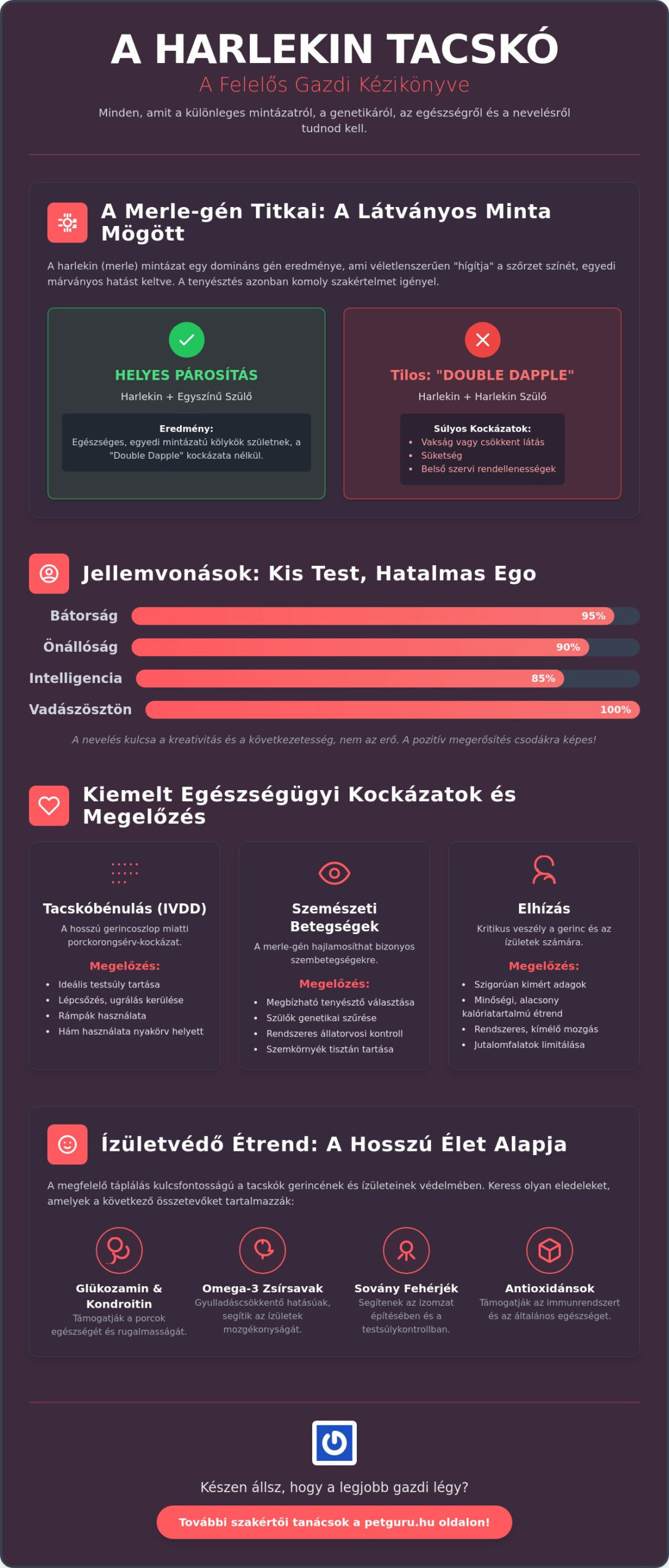 Harlekin tacskó- a bájos tacsi