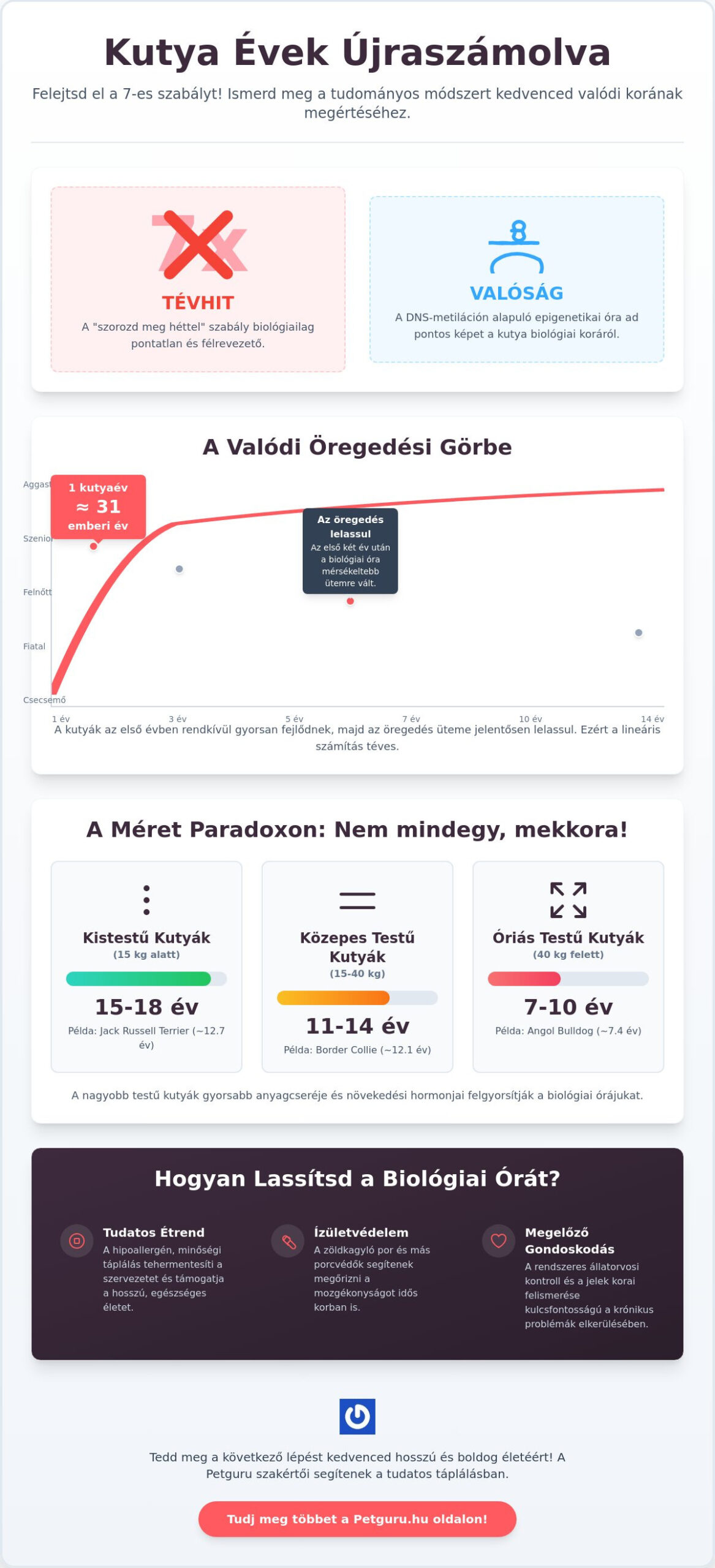 Kutya évek számítása - Bemutatjuk hogyan számold